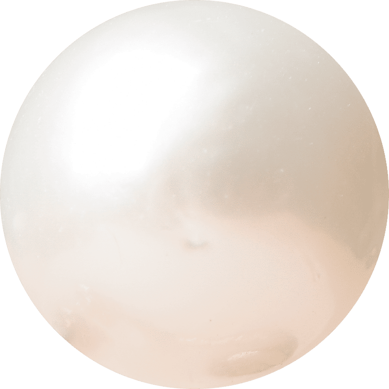 Shell Pearl